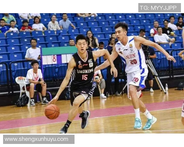 辽宁男篮迎战喀麦隆男篮期待精彩对决展现篮球魅力与团队精神