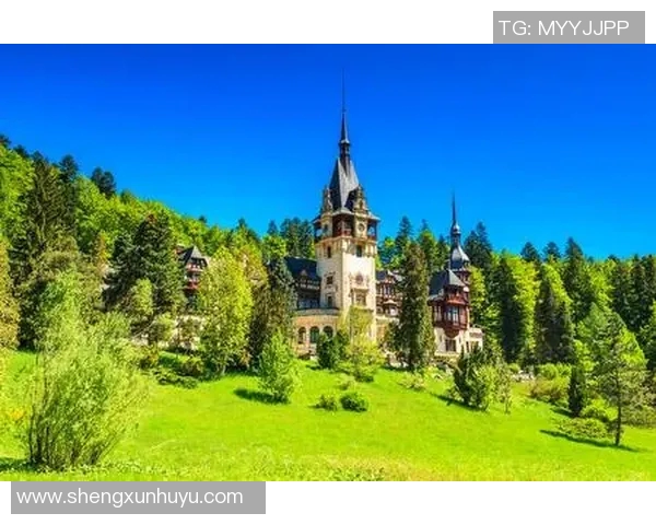 墨尔本与新城堡的激烈对决结果揭晓谁是胜者