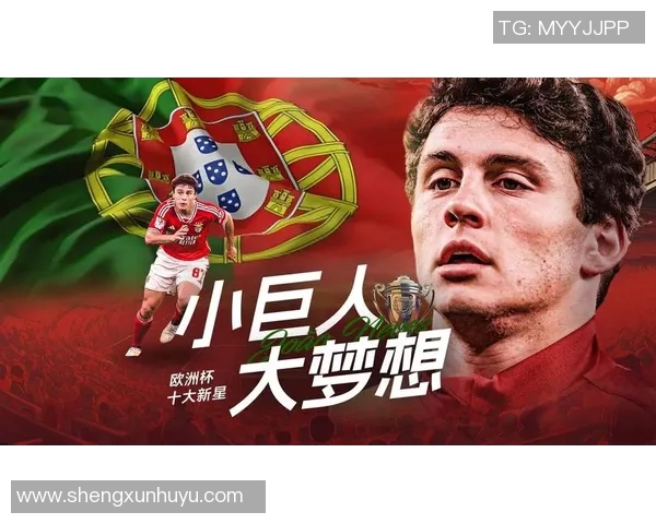 图拔科维奇的传奇之路：从足球新星到世界级教练的蜕变与成就