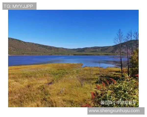 探索阿拉巴的魅力与文化深度之旅，揭示这片土地的独特风景与人文故事