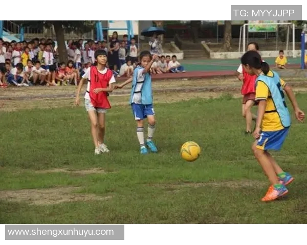 仙洞足球比赛直播视频观看渠道及平台推荐详解