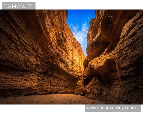 探索阿拉巴的魅力与文化深度之旅，感受独特风情与历史底蕴的交融